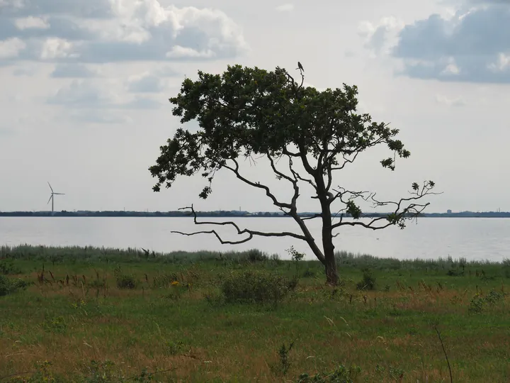 Halshuisene + Enebaerodde Beach (Denemarken)